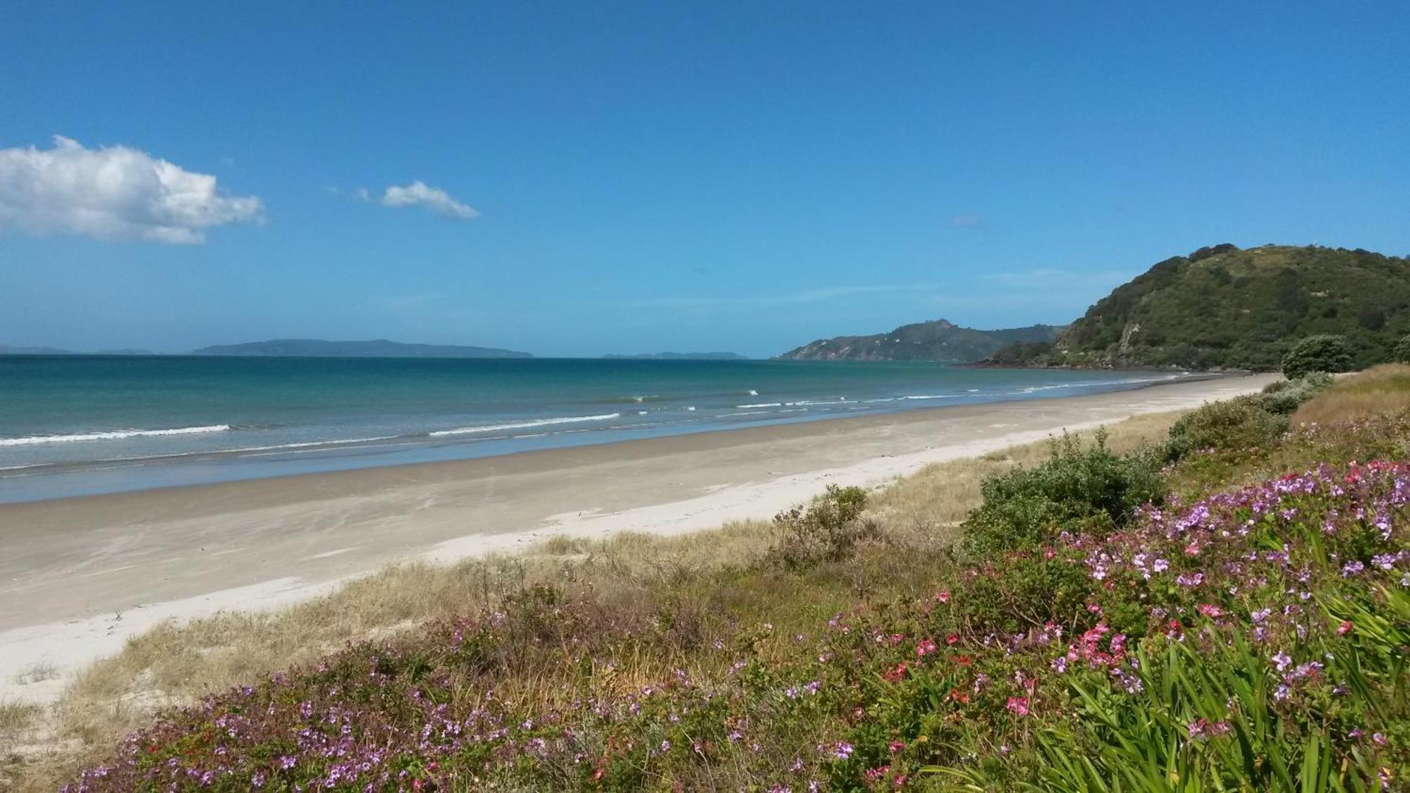 Waimaire Matarangi Bed & Breakfast Eksteriør bilde